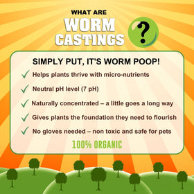 Life Cycle Organics worm castings being sprinkled around plant base for root support