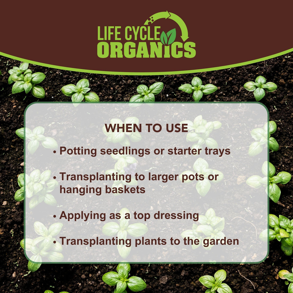 Life Cycle Organics worm castings are non-toxic and soil-friendly