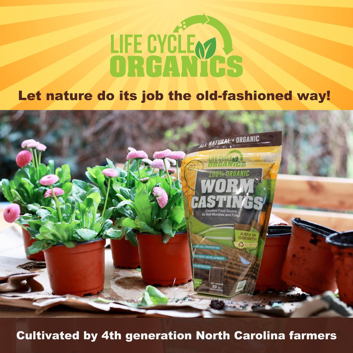 Life Cycle Organics worm castings supporting vibrant flowers and foliage