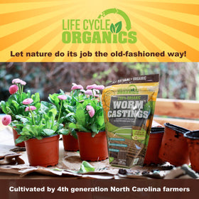 Life Cycle Organics worm castings supporting vibrant flowers and foliage
