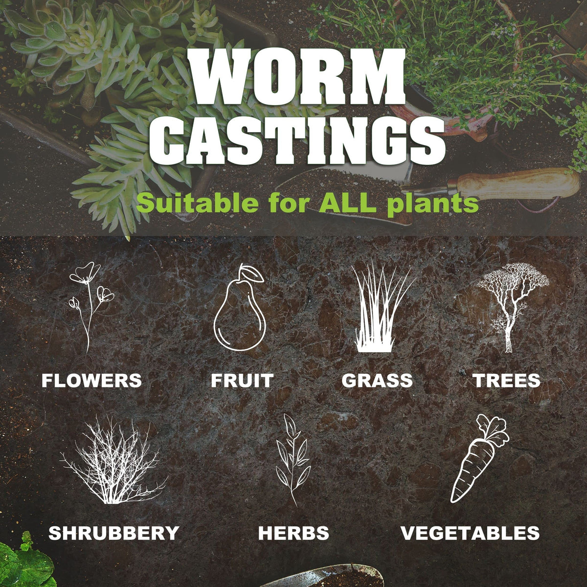 Life Cycle Organics worm castings boosting yields of fruits and vegetables