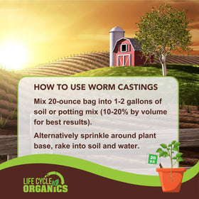 Life Cycle Organics worm castings promoting robust root development in seedlings