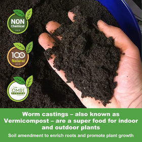 Life Cycle Organics worm castings mixed into soil for seed start