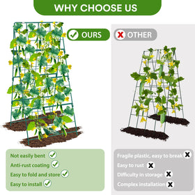 LifeisLuck all-in-one garden kit includes accessories for quick, secure plant setup.