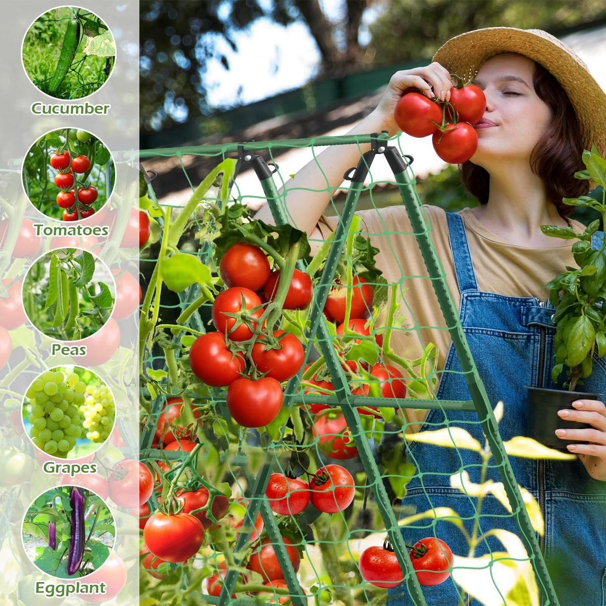 LifeisLuck trellis allows easy modification for beans grapes and squash