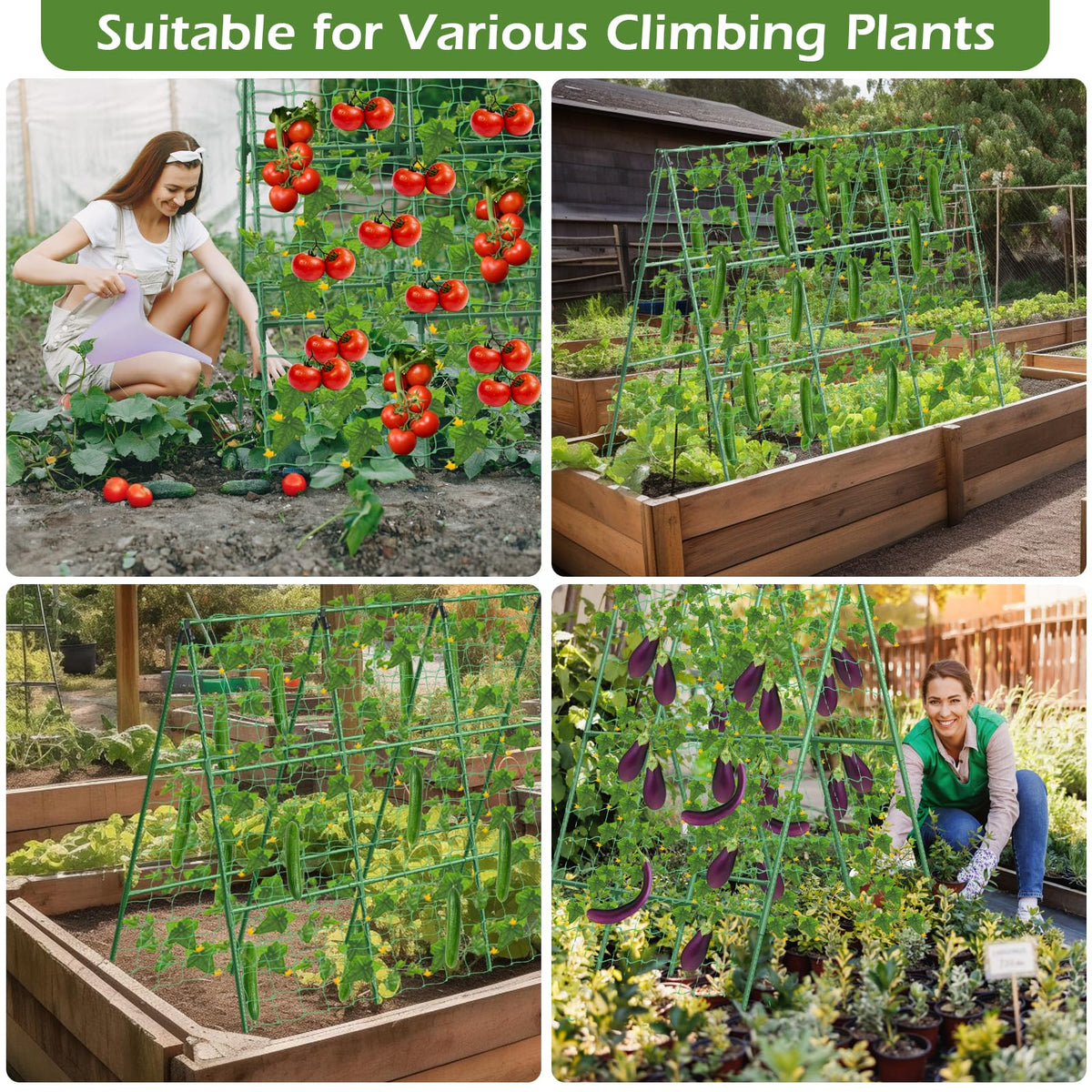 LifeisLuck garden trellis supports tomatoes and cucumbers for vertical growth