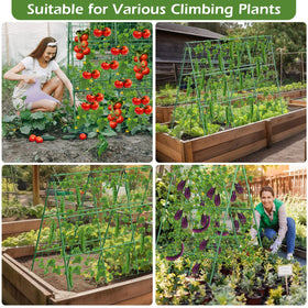 LifeisLuck garden trellis supports tomatoes and cucumbers for vertical growth
