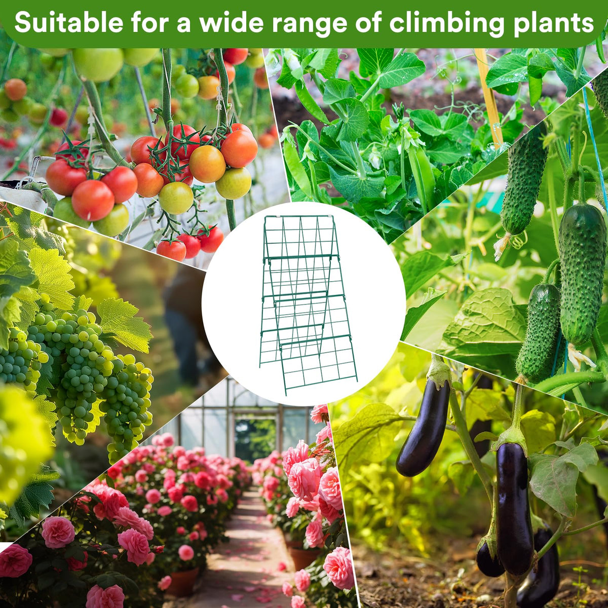 LifeisLuck fold-flat storage design saves space between seasons.