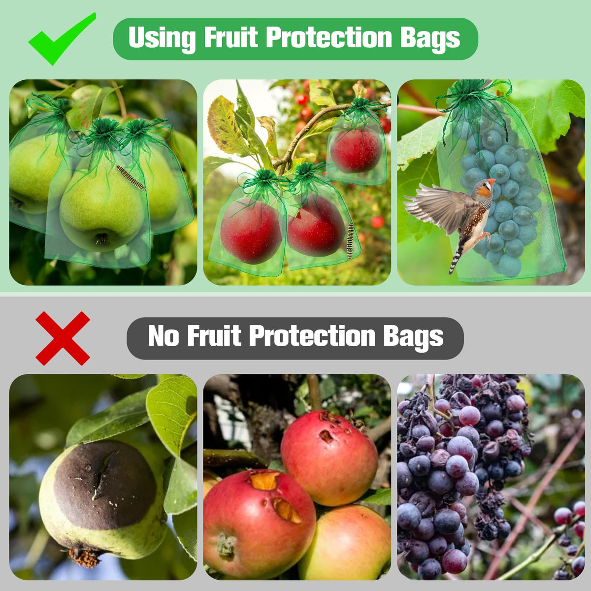 LifeisLuck pest protection garden bags shielding peaches from birds and critters.