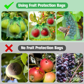 LifeisLuck pest protection garden bags shielding peaches from birds and critters.
