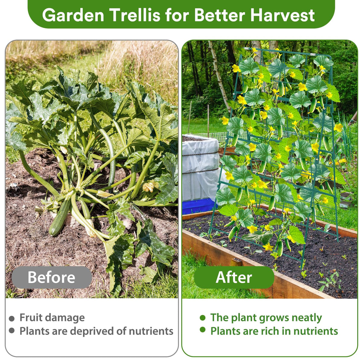 LifeisLuck tomato pea trellis helps promote vertical growth and airflow.