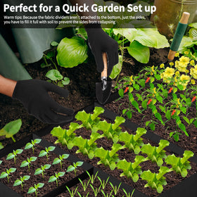 LifeisLuck square-foot gardening ideas with multiple crops in one bed.