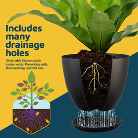 Lifemaster black pots complement modern home decor and plant styling