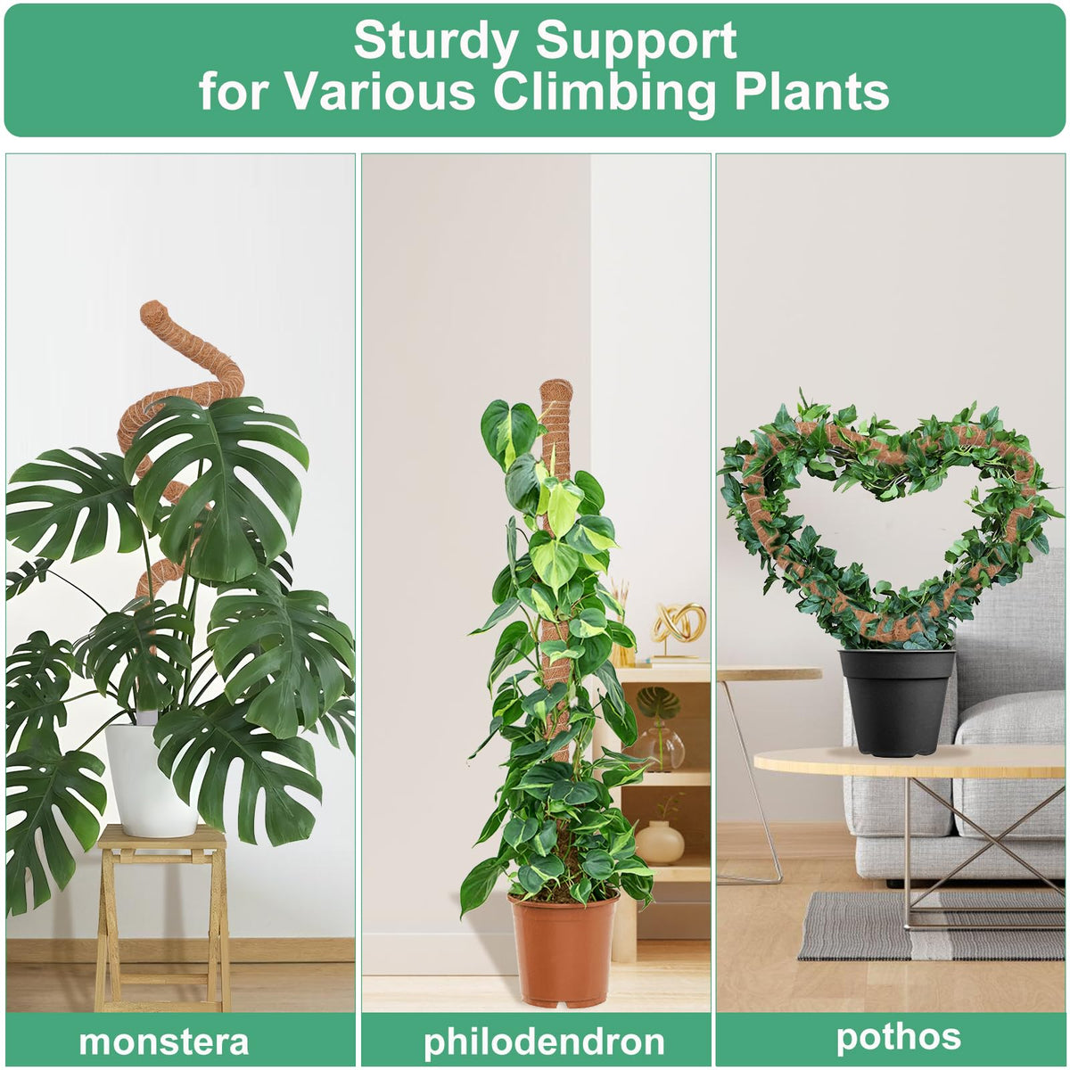 LifeNest 28-inch DIY-friendly moss pole lets you customize plant shapes.