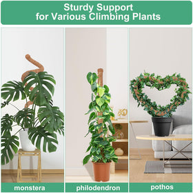 LifeNest 28-inch DIY-friendly moss pole lets you customize plant shapes.