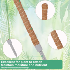 LifeNest natural coconut fiber moss pole enhances moisture retention for healthy climbing plants.