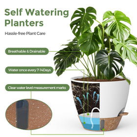 LifeNest self-watering 10-inch pot keeps larger plants hydrated on desks or floors