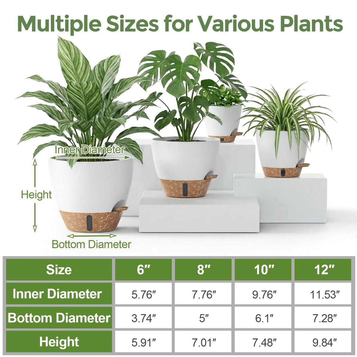 LifeNest self-watering 12-inch pot supports bold plants like monstera with minimal upkeep