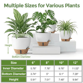 LifeNest self-watering 12-inch pot supports bold plants like monstera with minimal upkeep
