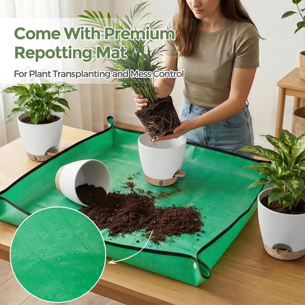 LifeNest self-watering 8-inch pot on a shelf provides elegant, low-maintenance hydration