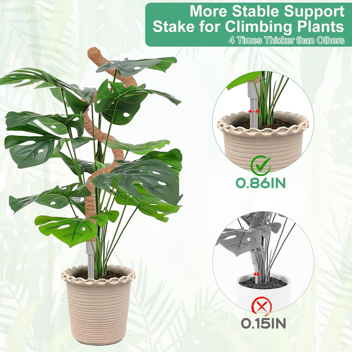 LifeNest two-pack moss poles provide versatile staking for multiple potted plants.