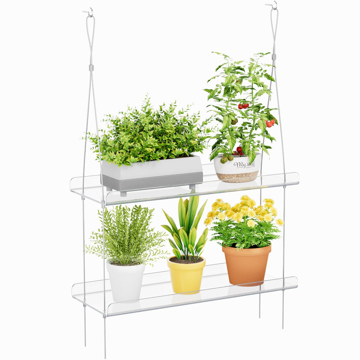 Lifewit 2-tier window shelf assembly compact space-saving plant display