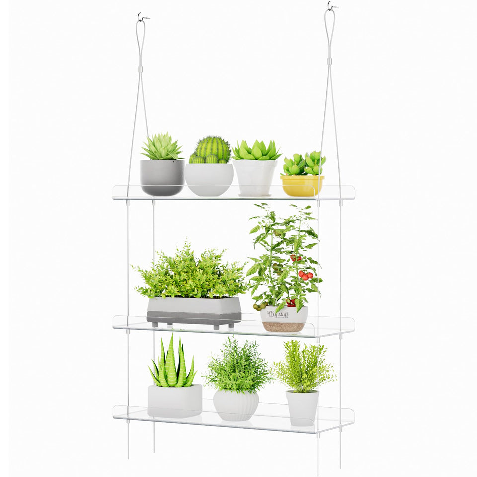 Lifewit 3-tier window shelf assembly for easy setup and elevated plant display.