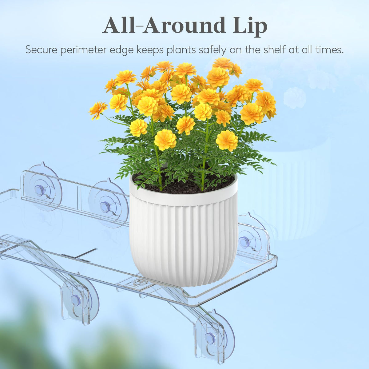 Lifewit 8 kg load rating showcased by sturdy frame.