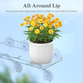Lifewit 8 kg load rating showcased by sturdy frame.