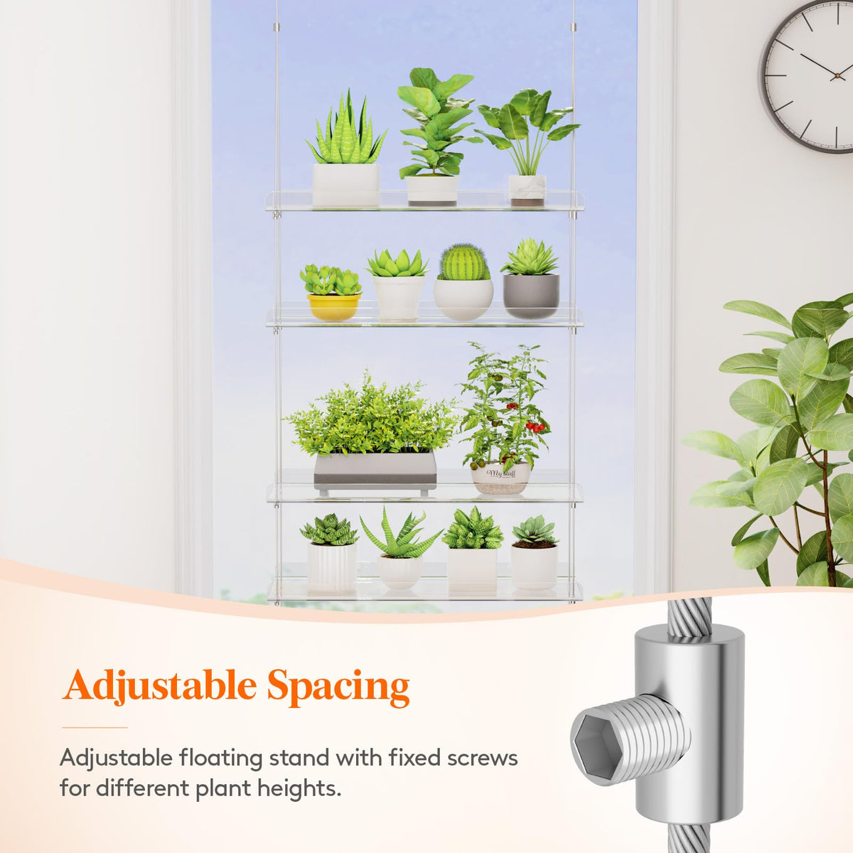 Lifewit succulent display shelf keeps small pots organized and accessible