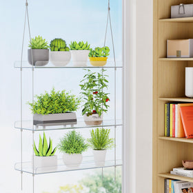 Lifewit transparent hanging plant shelf clear acrylic for bright indoor growing