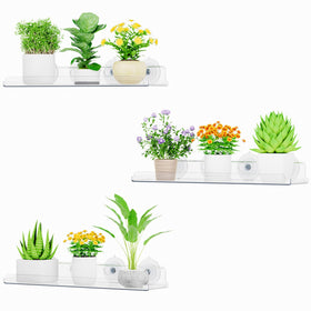 Lifewit window shelf 3-pack on display, maximizing sunlight for herbs.