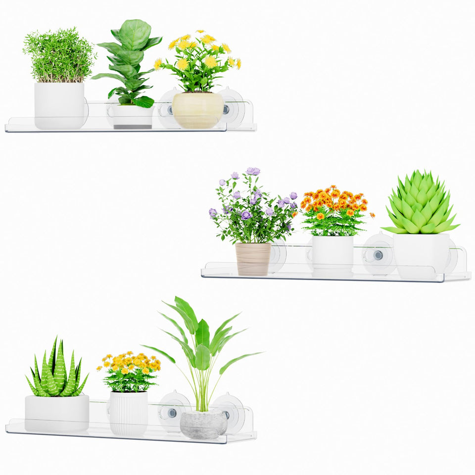 Lifewit window shelf 3-pack on display, maximizing sunlight for herbs.