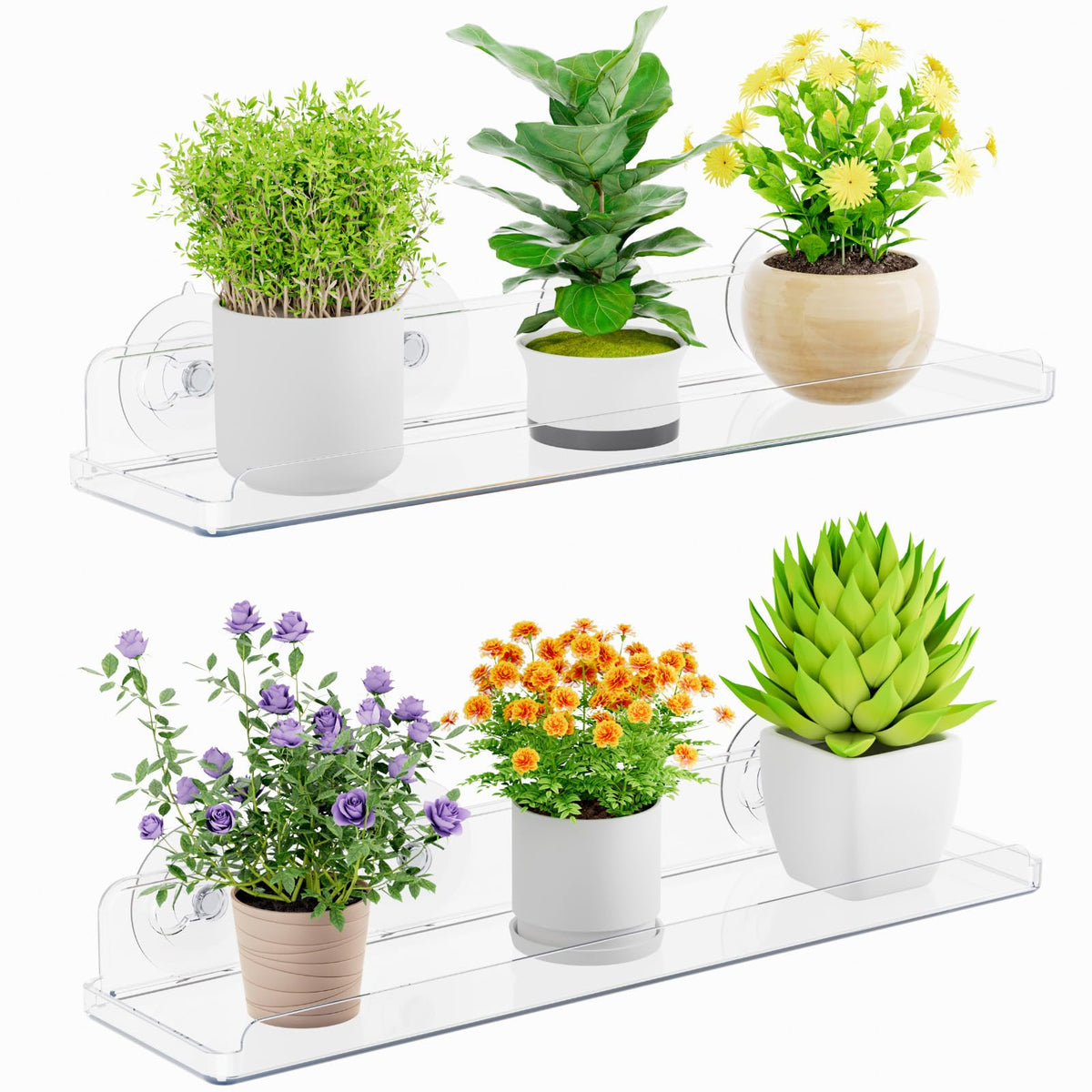 Lifewit window shelves assembly demonstrates a clear, easy setup for plants