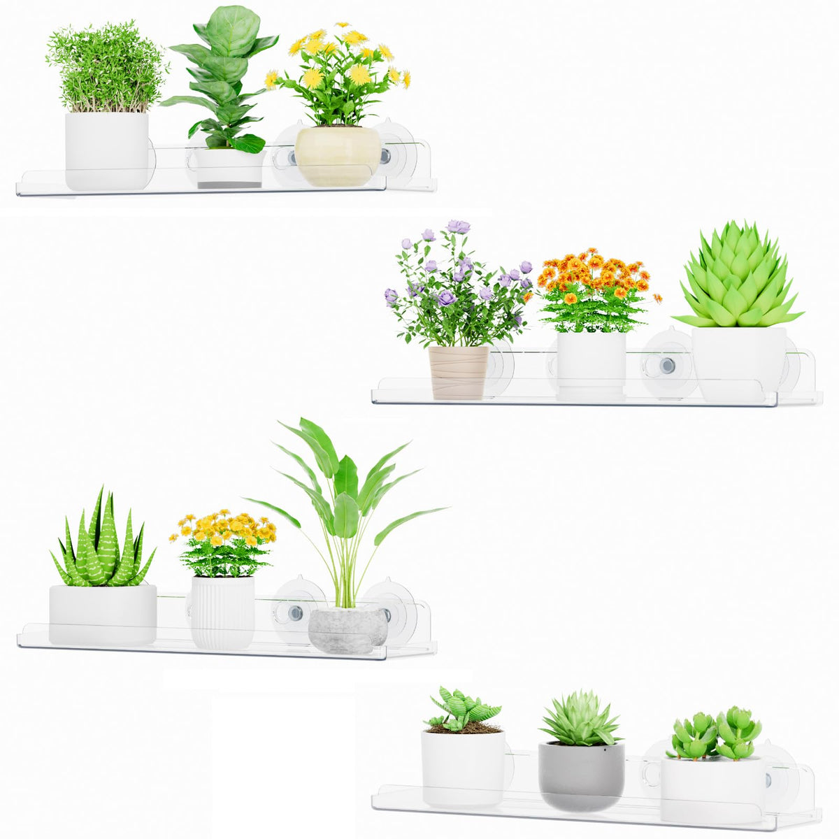 Lifewit window shelves clear acrylic front view for elegant plant display