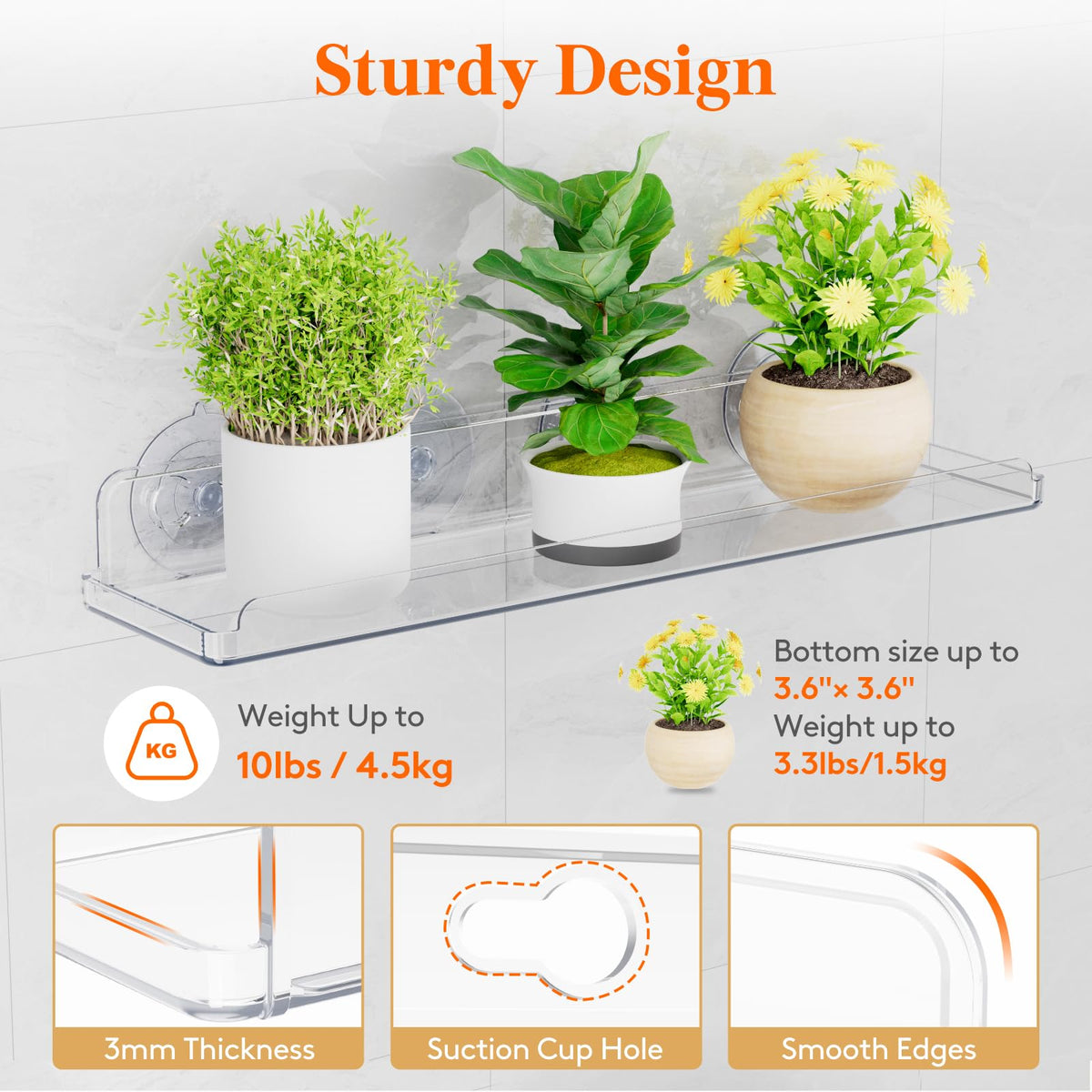 Lifewit window shelves load-capacity 10lb for sturdy plant support
