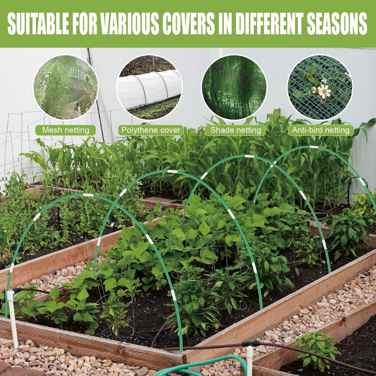 lifskydom all-seasons protection setup for frost, pests, and sun