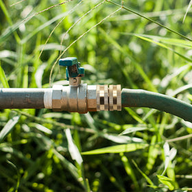 Lifynste compatible with standard hoses and sprinklers for versatility.