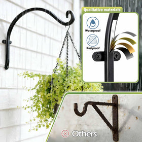 Lifyzoon 12-inch hanger length demonstrated for balanced plant display.