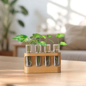 Lightalent 9-level dimmable LED light provides adjustable illumination for rooting and display.