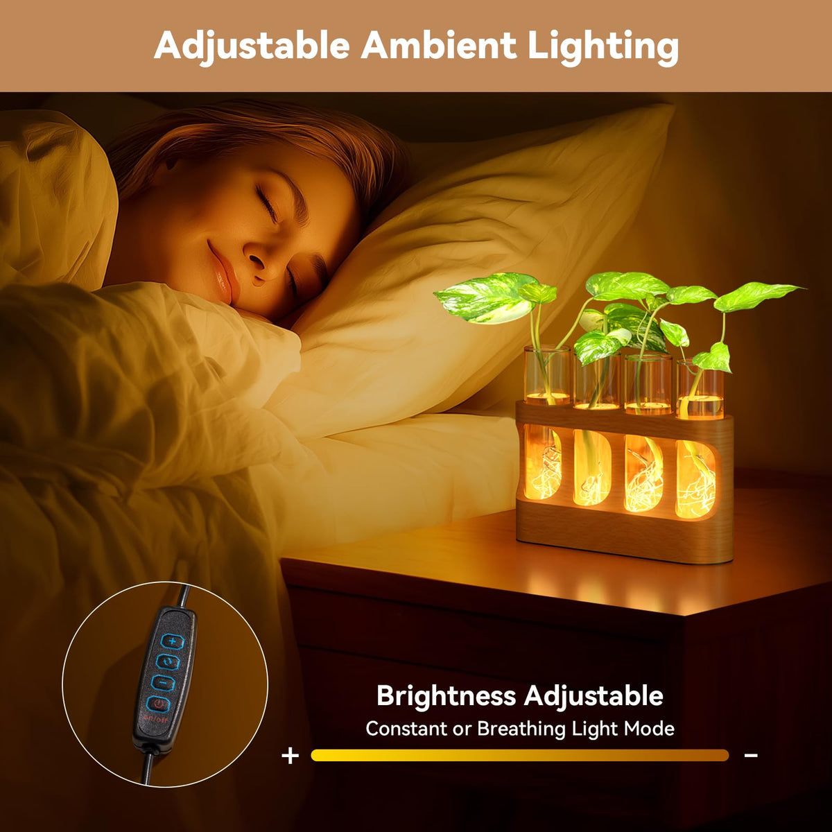 Lightalent gift-ready propagation kit suitable for plant lovers and home decor enthusiasts.