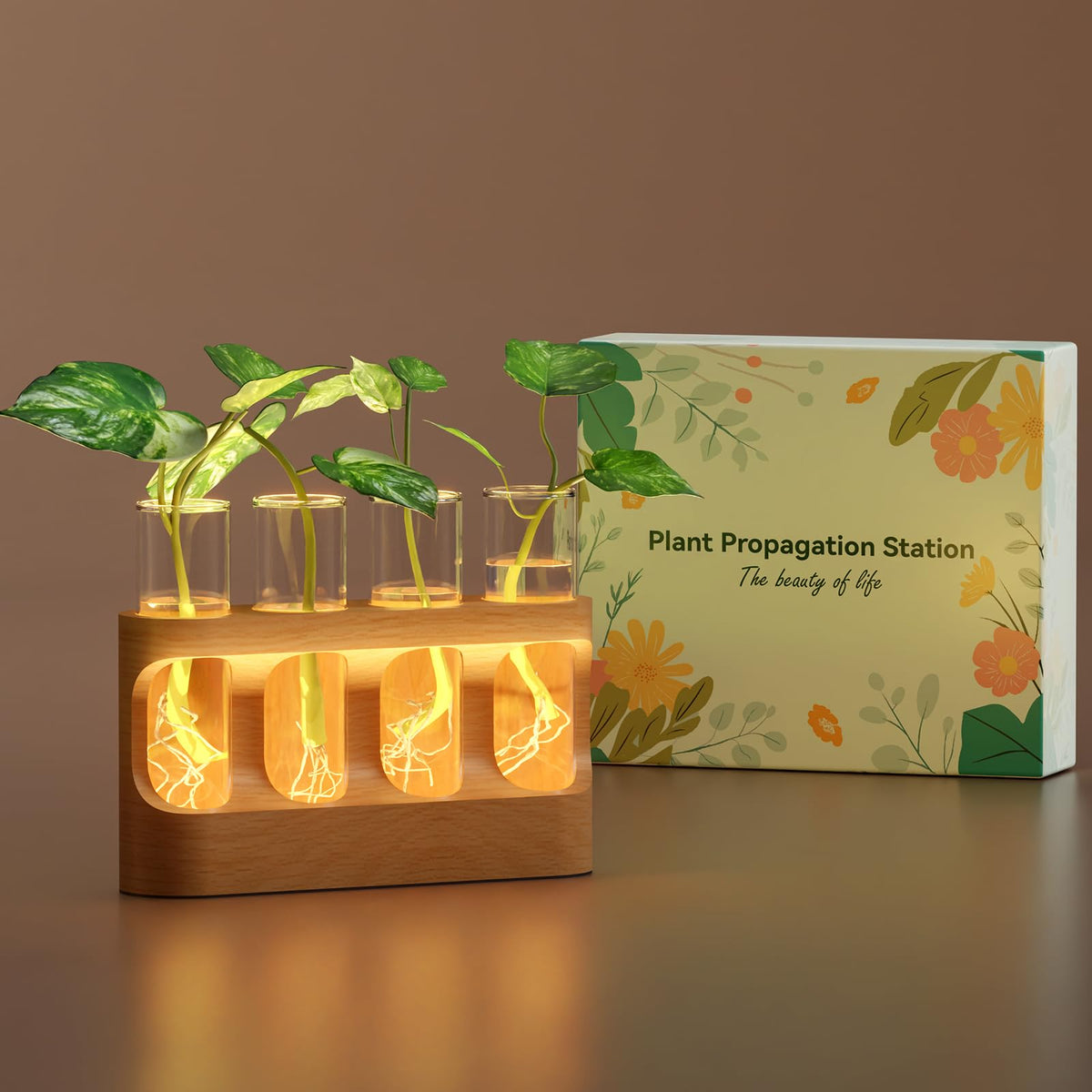 Lightalent propagation station on a wooden stand ideal for desktop plant display and rooting cuttings.