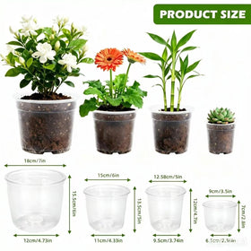 Lijnryu clear 5-inch nursery pot ideal for mid-size transplants and drainage