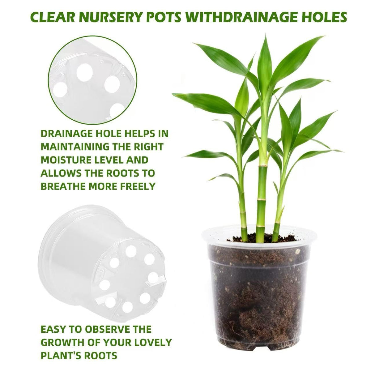 Lijnryu clear 6-inch nursery pot suitable for herbs and peppers