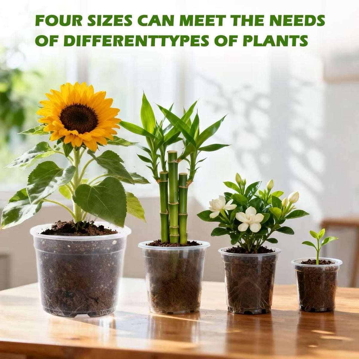 Lijnryu lightweight pots for indoor and outdoor use