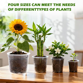 Lijnryu lightweight pots for indoor and outdoor use