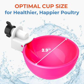 Lil'Clucker pink waterer cups in a five-pack