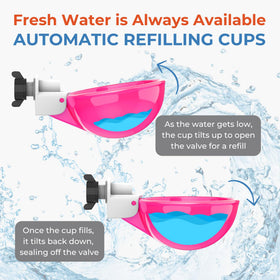 Lil'Clucker waterer cups for a five-gallon setup keeps water steady