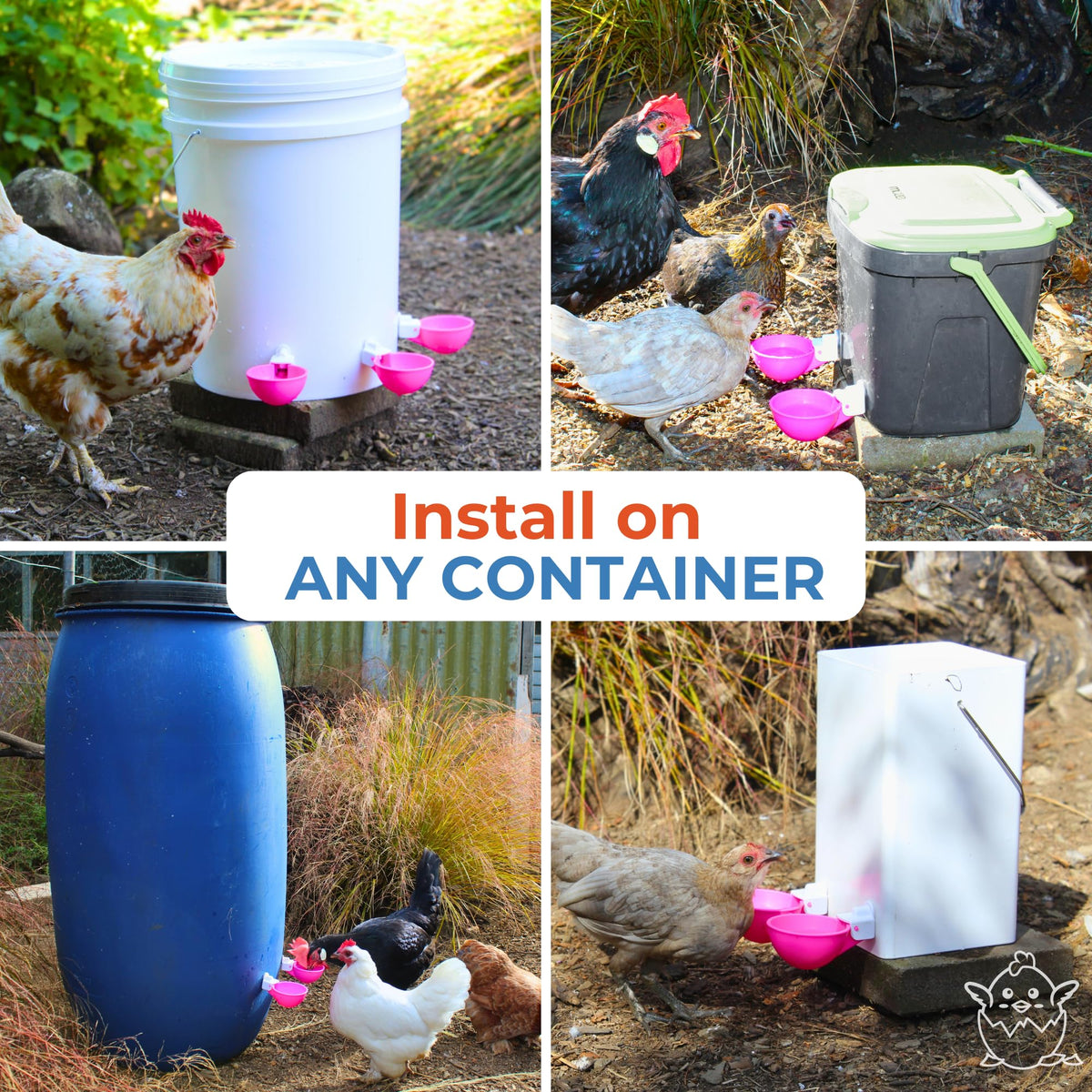 Lil'Clucker waterer cups quick installation for busy keepers