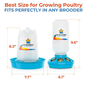 Lil'Clucker 1.5L chicken waterer — anti-tip design keeps water steady.